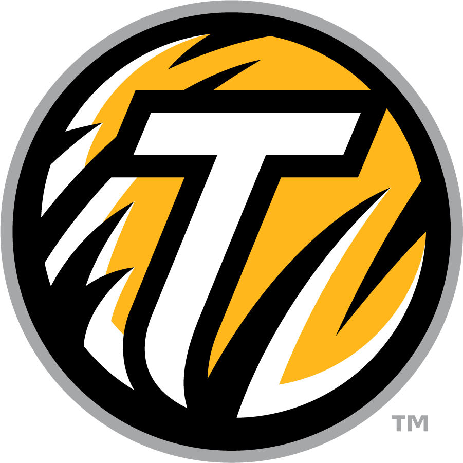 Towson Tigers 2011-2020 Secondary Logo DIY iron on transfer (heat transfer)